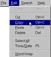 Copy command on Edit menu