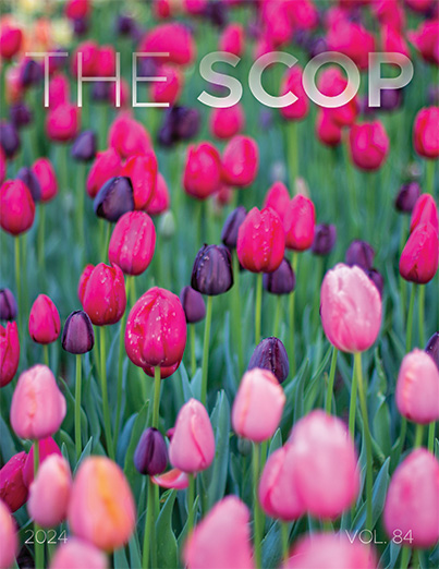 cover image of the latest issue of the SCOP